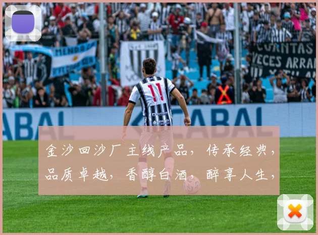金沙回沙厂主线产品，传承经典，品质卓越，香醇白酒，醉享人生，每一滴都是匠心独运。