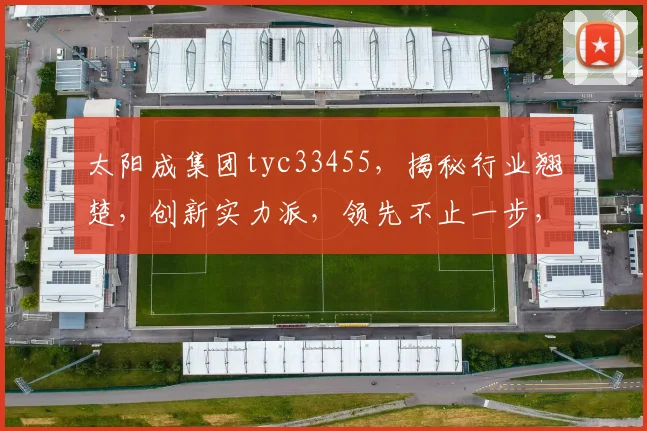 太阳成集团tyc33455，揭秘行业翘楚，创新实力派，领先不止一步，成就非凡业绩，三大亮点瞩目
